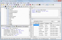   DTM SQL editor