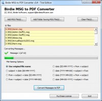   Converter for MSG to PDF