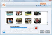   DDR Digital Pictures Recovery