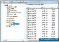   USB Drive Recovery