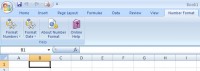   Excel Number Date Format