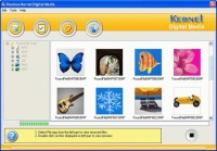   Nucleus Kernel Digital Media Recovery Software