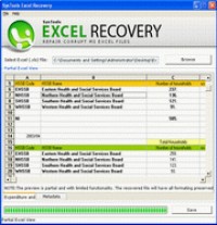  Excel Workbook Recovery