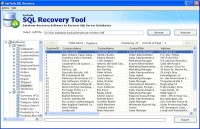   Recover Deleted File in SQL Server