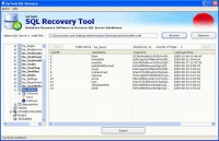   MS SQL Server Recovery Toolbox