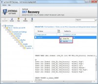   Leading BKF File Data Recovery Software