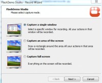   flashdemo screen recording software