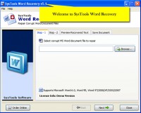   Recover Word File Document