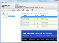   How To Extract BKF Database