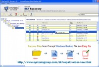   Recover NTBackup File