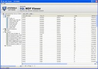   SQL Database Viewer