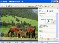   Image Resize Guide Lite