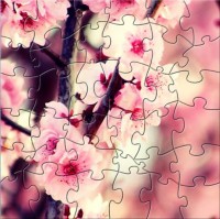  Pink Flowers Picture Puzzle