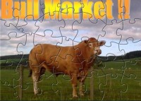   Bull Market Puzzle