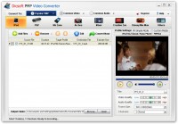   Dicsoft PMP Video Converter