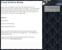   A Look At Horse Racing