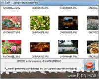   Card Pictures Recovery Software