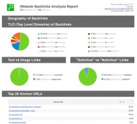   Backlink Analysis Report