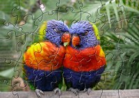   LSSP Love Bird Puzzle