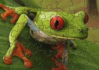   EZPPC Frog Puzzle