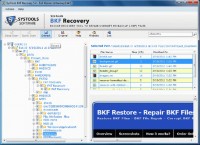   How To Access Broken BKF Files