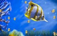   Marine Life Aquarium Animated Wallpaper