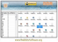   File Data Recovery Software