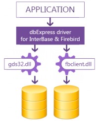   dbExpress Driver for InterBase