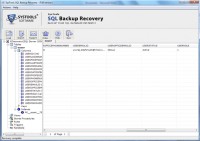   SQL Server Backup Database Recovery