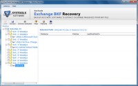   Expert Tool for Backup Recovery