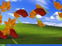   EIPC Autumn Leaves Screensaver