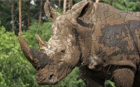   WAH_Rhino_Puzzle
