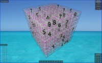   Real Sudoku3D Win64