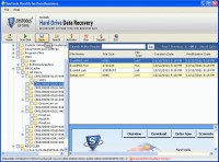   Windows 2007 Data Recovery