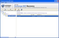   Recover Exchange 2003 Backup Exec
