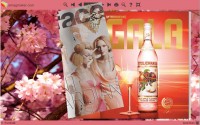   Flash Magazine Themes for Blooming Flower Style