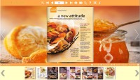   PDF to Flash templates of Orange style