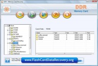   Flash Card Data Recovery