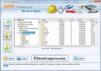   File Salvage Software