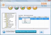   Pen Drive Data Recovery
