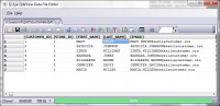   Q-Eye QVD/QVX files Editor (32 Bit)