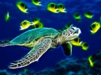   Sea Turtle Animated Wallpaper