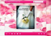   Pink Theme for Wise PDF to FlipBook