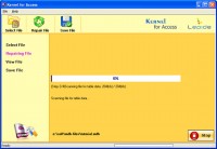   Repair Access File