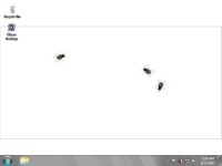   Interactive Flies Desktop Wallpaper