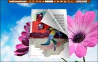   Flipping Book 3D Themes Pack: Pure
