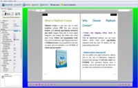   FireDemon OpenOffice to Flipbook