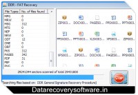   Data Recovery Software Fat