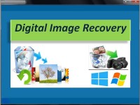   Digital Image Recovery