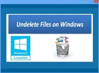   Undelete Files on Windows
